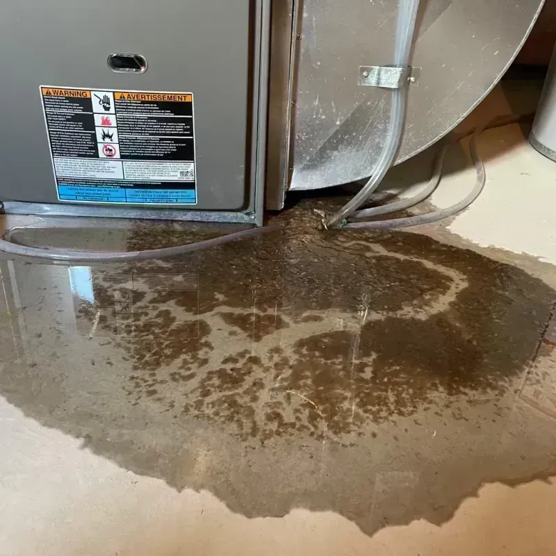 Appliance Leak Cleanup in Empire, CA